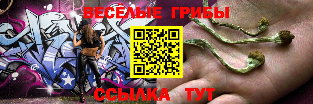 Галлюциногенные грибы Cubensis  Вход с VPN  Жуковский 